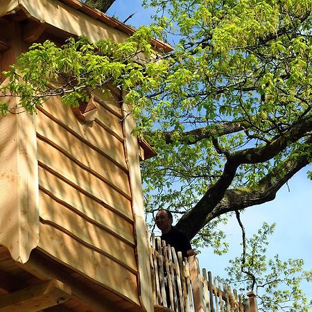 La Cabane Du Vieux Chene Susmiou Εξωτερικό φωτογραφία